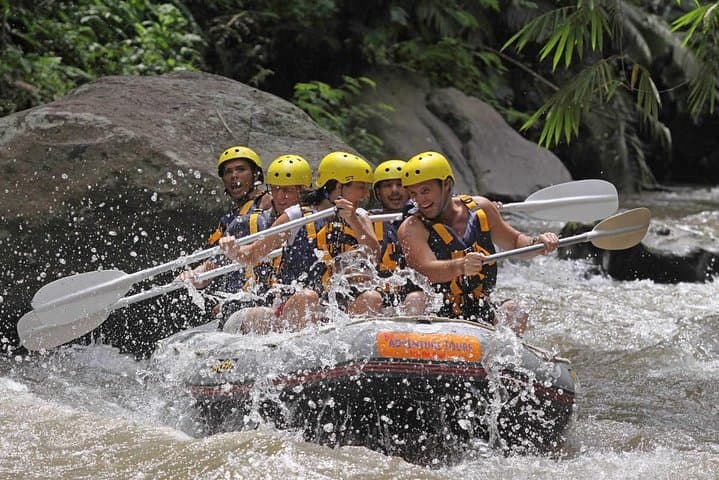 Ayung River Rafting Ubud: Beginner-Friendly Whitewater Through Rice Fields and Rock Reliefs
