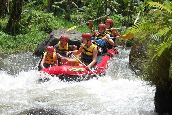 Ayung River Rafting Ubud: Beginner-Friendly Whitewater Through Rice Fields and Rock Reliefs photo 3