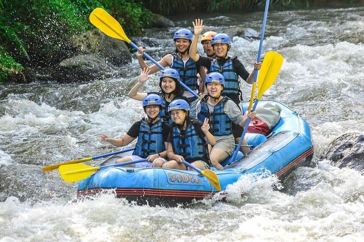Ayung River Rafting Ubud: Beginner-Friendly Whitewater Through Rice Fields and Rock Reliefs photo 2