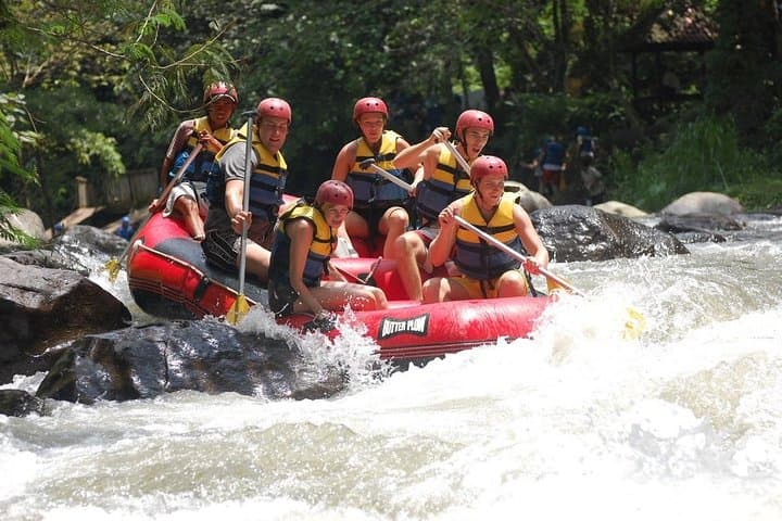Ayung River Rafting Ubud: Beginner-Friendly Whitewater Through Rice Fields and Rock Reliefs photo 4