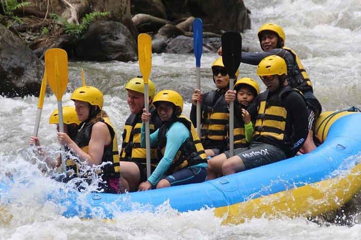 Ayung River Rafting Ubud: Beginner-Friendly Whitewater Through Rice Fields and Rock Reliefs photo 6