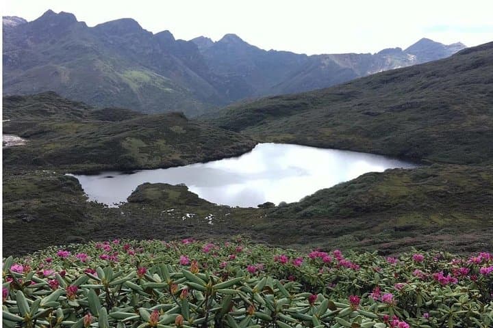 Druk Path Trek: 9-Day Paro-to-Thimphu High-Altitude Trek in Bhutan photo 3