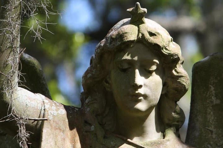 Inside Bonaventure Cemetery: Full Walking Tour with Downtown Pickup photo 6