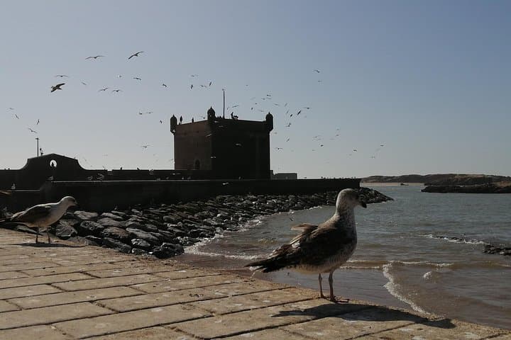 Essaouira Day Trip from Marrakech: Private Full-Day Tour to the Atlantic Coast photo 3