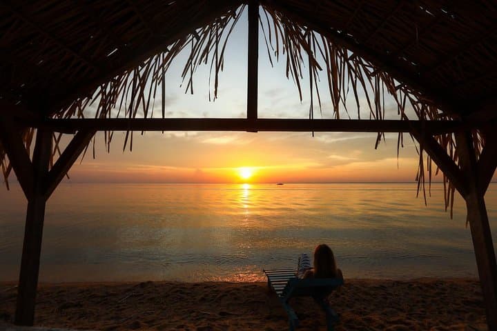 Alter do Chão Sunset Boat Tour — Tapajós Beaches, Enchanted Forest & Wildlife photo 4