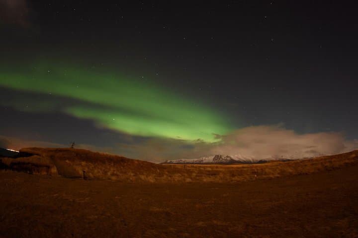 Reykjavik Winter Combo: Whale Watching by Day, Northern Lights by Night photo 5