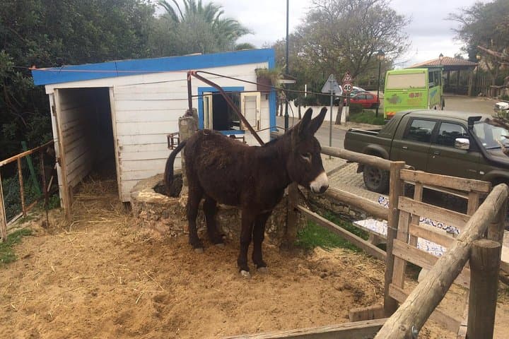 Algarve Jeep Safari: Off‑Road Day Trip from Albufeira photo 6