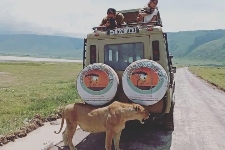 Pumba Tanzania Safari: 8-Day Arusha to Serengeti & Ngorongoro Wildlife Safari