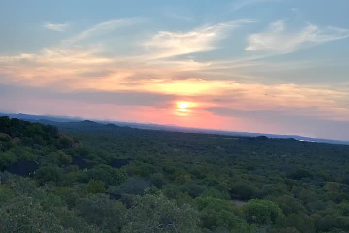 Pilanesberg National Park Safari Tour from Johannesburg