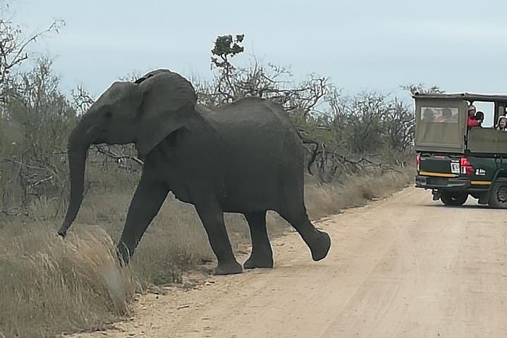 Pilanesberg National Park Safari Tour from Johannesburg photo 2