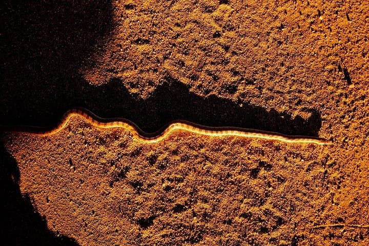 Explore Joshua Tree National Park: A Half-Day Guided Hike Through Desert Wonders photo 3