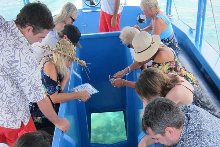 Glass Bottom Boat & Natural Pool Adventure in Punta Cana photo 2