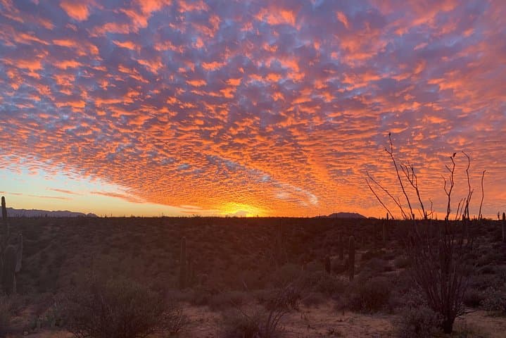 Sunset Sonoran Jeep Jeep Tour: Off-Road Tonto National Forest Adventure photo 2