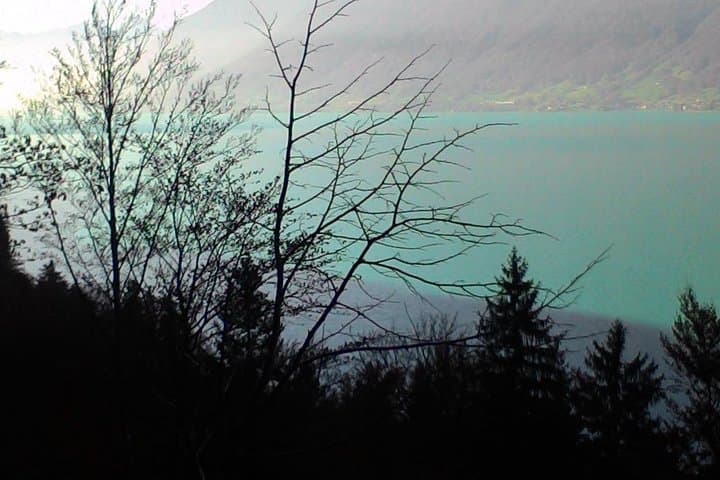 Half-Day Giessbach Falls & Lake Brienz Private Tour from Interlaken photo 4