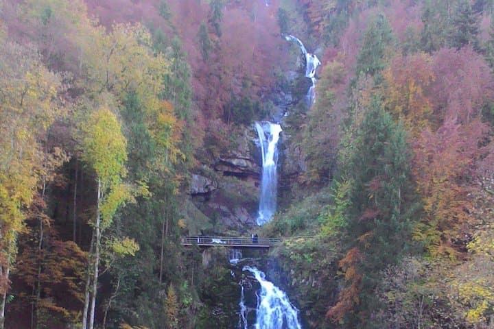 Half-Day Giessbach Falls & Lake Brienz Private Tour from Interlaken photo 6