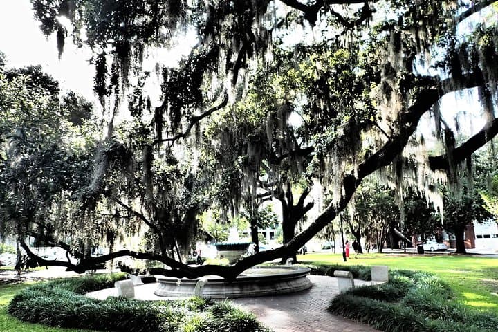 Savannah Scavenger Hunt: 3-Hour Interactive Walking Tour of Historic Squares photo 4