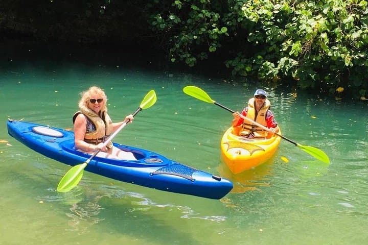 Port Vila Kayaking: Blue Lagoon & Rarru Waterfalls Full-Day Tour photo 4