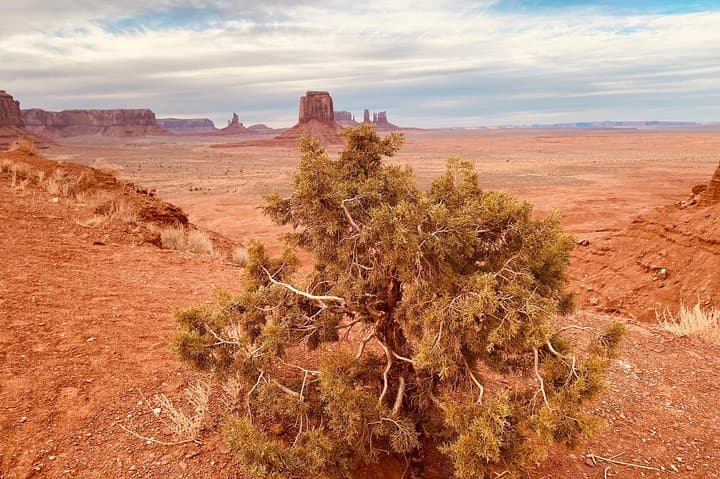Exploring Monument Valley Backcountry: A Navajo-Guided Journey Through Ancient Landscapes photo 5