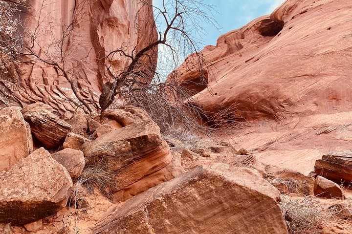 Exploring Monument Valley Backcountry: A Navajo-Guided Journey Through Ancient Landscapes photo 6