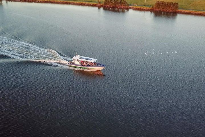 Sunset Richmond River Cruise: Ballina Mangroves & Dolphin Watching photo 4