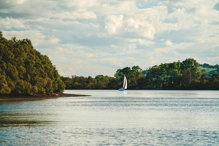 Sunset Richmond River Cruise: Ballina Mangroves & Dolphin Watching photo 5