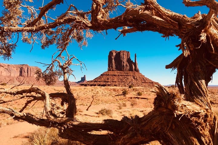 Exploring Monument Valley's Hidden Backcountry: A Navajo-Guided 4x4 Adventure photo 4