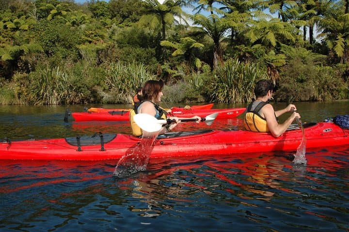 Lake Rotoiti Evening Kayak Tour — Hot Springs, Glowworms & Kiwi BBQ near Rotorua photo 5