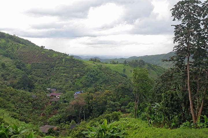 Chiang Rai Day Trek: Bamboo Cooking, Hilltribe Villages & Hot Springs photo 2