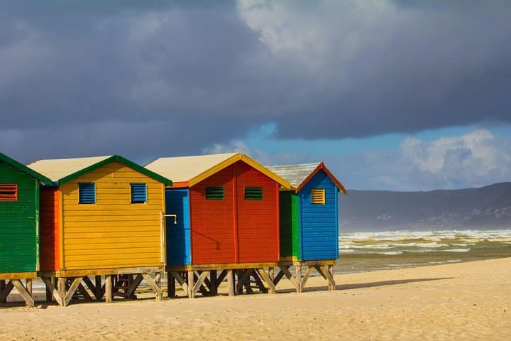 Cape Peninsula & Wine Lands Full-Day Private Tour — Cape Point, Penguins & Chapman's Peak photo 5