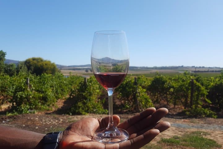 Full-Day Stellenbosch, Franschhoek & Paarl Wine Tour from Cape Town photo 2