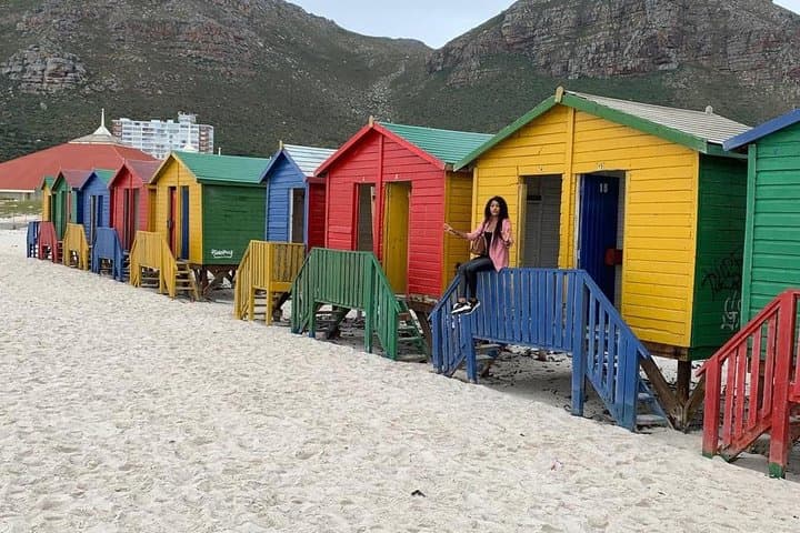 Cape Peninsula and Wine Lands Small-Group Tour — Chapman's Peak, Cape Point & Boulders photo 6