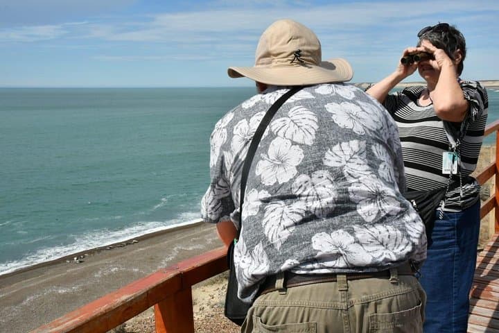 Peninsula Valdés in One Day: Whale Watching, Sea Lions & Wildlife from Puerto Madryn photo 4