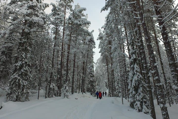 Korouoma Frozen Waterfalls Hiking Tour — Winter Hike from Rovaniemi photo 3