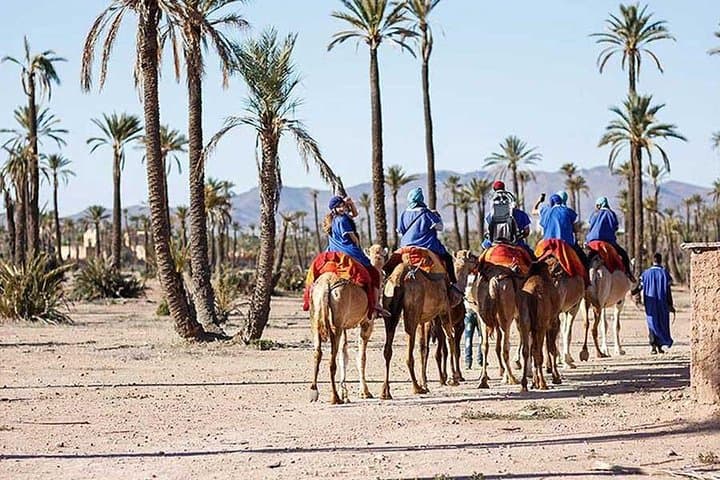 Marrakech Palmeraie Camel Ride: Sunset Camel Walk with Mint Tea photo 4