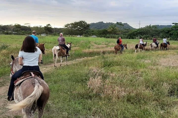 Jacó Beach Horseback Riding — Sunset Beach & Forest Ride in Costa Rica photo 3