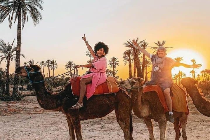Sunset Camel Ride in Marrakech Palm Grove (Palmeraie) photo 2