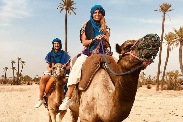 Sunset Camel Ride in Marrakech Palm Grove (Palmeraie) photo 3