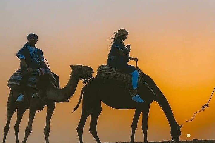 Sunset Camel Ride in Marrakech Palm Grove (Palmeraie) photo 4