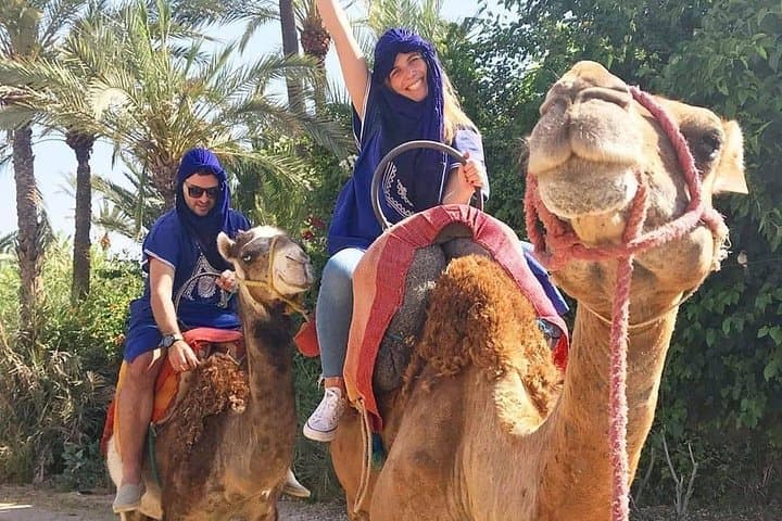 Marrakech Palmeraie Camel Ride: Sunset Camel Walk with Mint Tea photo 3