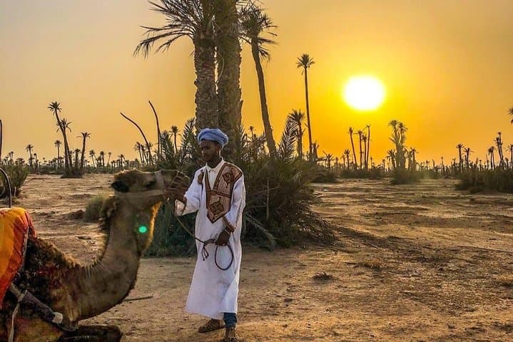 Marrakech Palmeraie Camel Ride: Sunset Camel Walk with Mint Tea photo 6