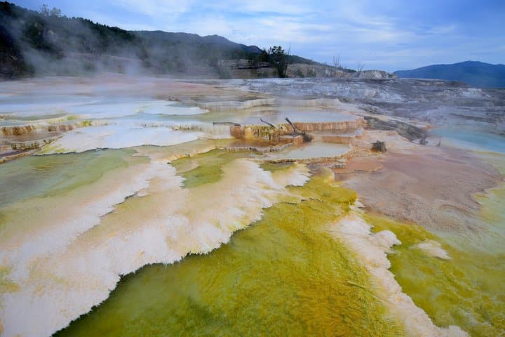 Explore Yellowstone’s Hidden Gems: A Private Family-Friendly Adventure with Scenic Lunch photo 6