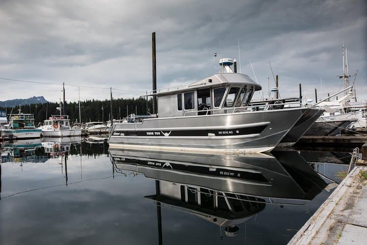Hoonah Whale Tours in Icy Strait: Small-Group Whale Watching from Hoonah, AK photo 3