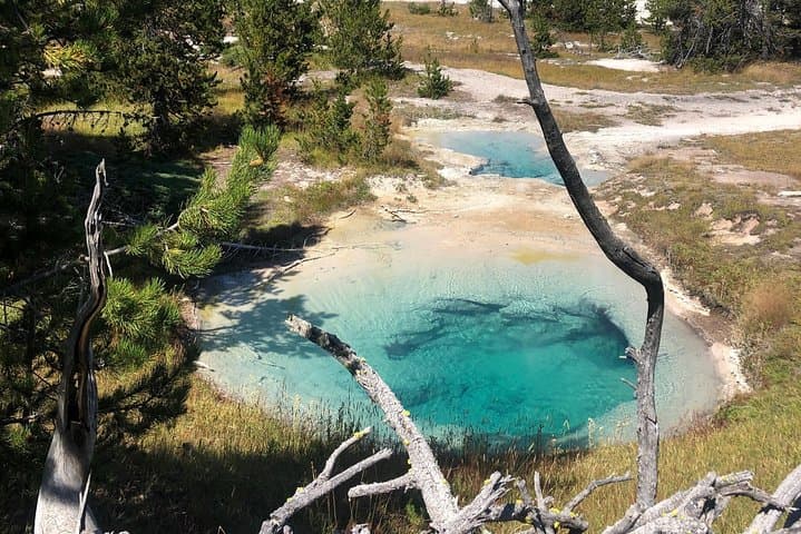 Explore Yellowstone’s Hidden Gems: A Private Family-Friendly Adventure with Scenic Lunch photo 5