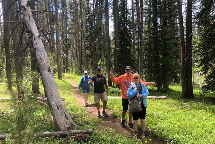 Explore Yellowstone’s Hidden Gems: A Private Family-Friendly Adventure with Scenic Lunch