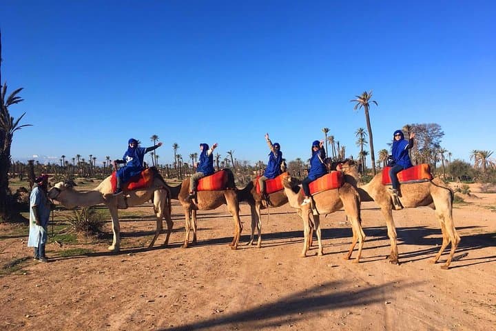 Half-Day Palmeraie Camel Trek and Quad Bike Adventure from Marrakech photo 1
