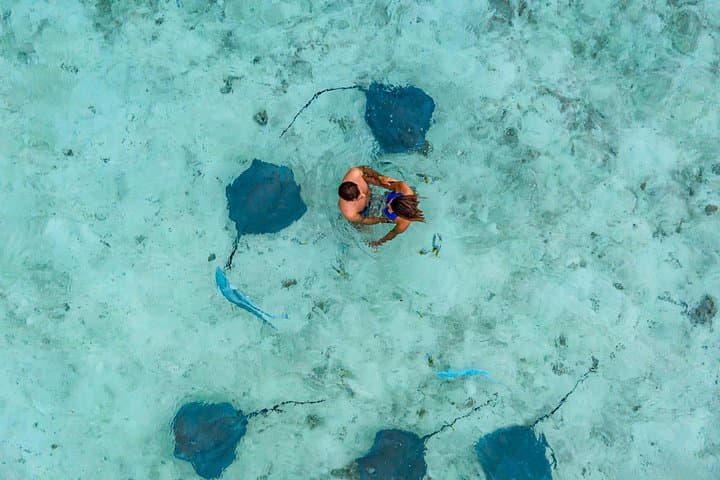 Bora Bora Jet Ski and Eco Shark & Ray Snorkel Cruise — Lagoon Safari with Lunch photo 2