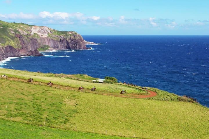 Maui Horseback Adventure with Hawaiian Cowboys at Circle M Ranch photo 2