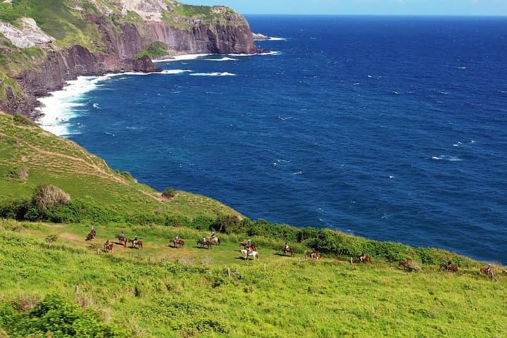 Maui Horseback Adventure with Hawaiian Cowboys at Circle M Ranch photo 3