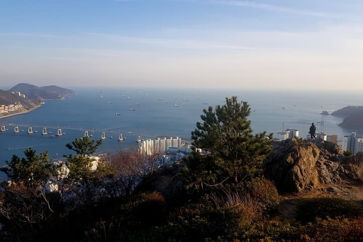 Morning Hike to Cheonmasan Summit: Panoramic Busan & Gamcheon Village photo 6