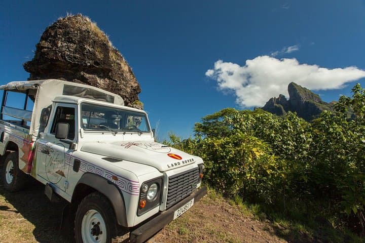 Bora Bora 4WD & Eco Shark and Ray Snorkel: Lagoon Safari and WWII Lookouts photo 4